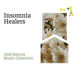 Insomnia Healers - 2020 Nature Music Collection - Spa Music Relaxation