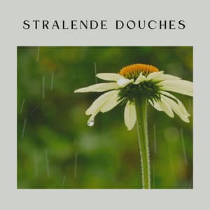 Stralende Douches - Geluiden van de Regen