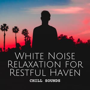Chill Sounds: White Noise Relaxation for Restful Haven - Dinner Time Playlist