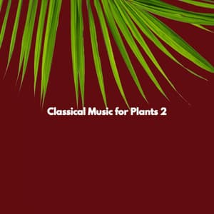 Classical Music for Plants 2 - New York Luxury Playlist