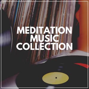 Meditation Music Collection - Meditation & Focus Workshop