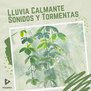 Lluvia Calmante Sonidos y Tormentas - #Calmante