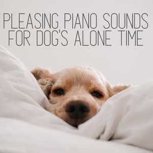 Pleasing Piano Sounds for Dog's Alone Time - Smooth Lounge Piano
