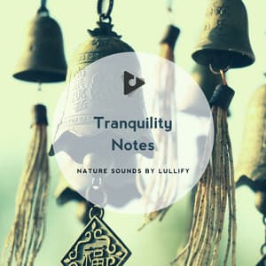 Tranquility Notes - Nature Sounds by Lullify