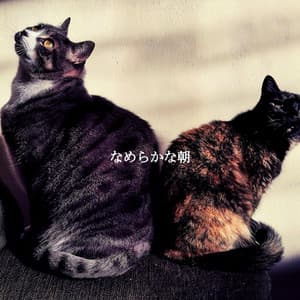 なめらかな朝 - Friday Morning Jazz Chillout