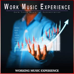 Work Music Experience: Calm Focus Music for Concentration - Work Music