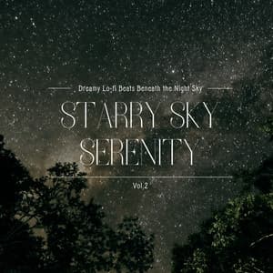 Starry Sky Serenity: Dreamy Lo-fi Beats Beneath the Night Sky Vol.2 - Relax α Wave