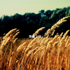 準備万端 - Brunch Jazz Radio