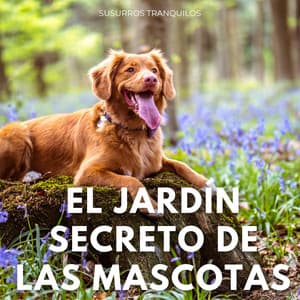 El Jardín Secreto De Las Mascotas: Susurros Tranquilos - Explosión hawaiana