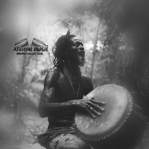 Mystical Tribal Drum: Shamanic Meditation Journey, Connect Mind Body & Soul - African Music Drums Collection