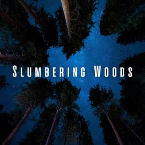 Slumbering Woods: Forest Sleep Soundscapes - Night Sounds Association