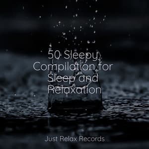 50 Sleepy Compilation for Sleep and Relaxation - Musica Romantica Ensemble