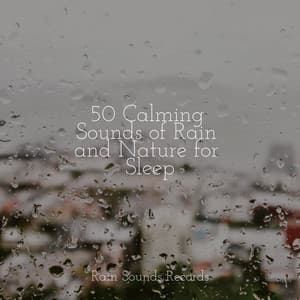 50 Calming Sounds of Rain and Nature for Sleep - Deep Sleep Relaxation