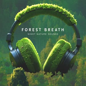 Forest Breath - Night Nature Sounds