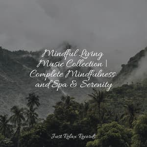 Mindful Living Music Collection | Complete Mindfulness and Spa & Serenity - Relajacion Del Mar