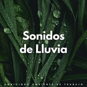 Sonidos De Lluvia: Ambicioso Ambiente De Trabajo - Lluvia