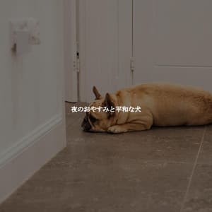 夜のおやすみと平和な犬 - Evening Chillout Playlist