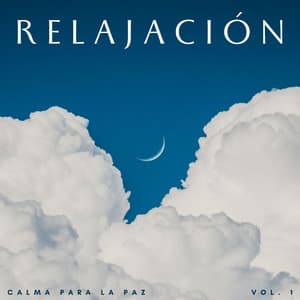Relajación: Calma Para La Paz Vol. 1 - Relajante Lo Fi
