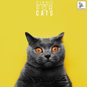 Piano Instrumentals For Cats - Jingle Cats