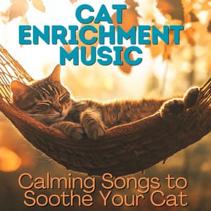 Cat Enrichment Music - Calming Songs to Soothe Your Cat - RelaxMyCat