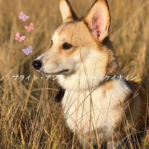 ブライト・アンド・アーリー・ケイナイン - Classic Jazz Chill