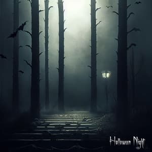 Halloween Night - Halloween