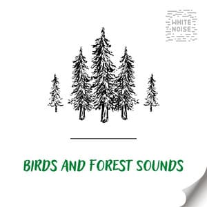 Birds and Forest Sounds for Relaxation with White Noise, Loopable - White Noise Therapy