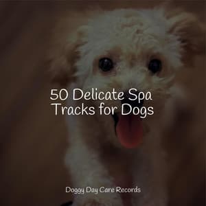 50 Delicate Spa Tracks for Dogs - Dog Music Club