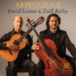 Arpeggione - David Leisner