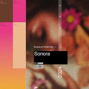 Soneca em Multimídia Sonora - Ruido Perfecto