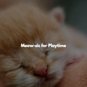 Meow-sic for Playtime - Jazz Romance