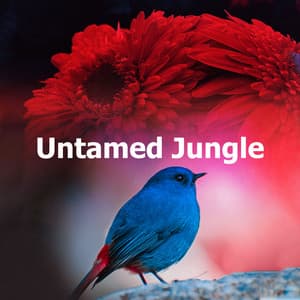 Untamed Jungle - NatuREM