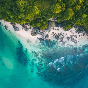 10 Waves: Movements - Coastal Sounds