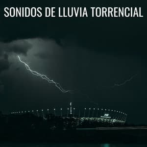 Sonidos De Lluvia Torrencial - Registradores de lluvia