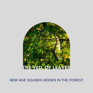 The Veil of Leaves: New Age Sounds Hidden in the Forest - Soul Serenade