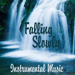 Falling Slowly - Instrumental - The Music Themes