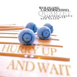 Hurry Up And Wait - Wolfgang Lackerschmid