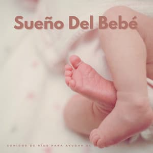 Sueño Del Bebé: Sonidos De Ríos Para Ayudar Al Bebé A Dormir Vol.2 - Ciencia del Agua