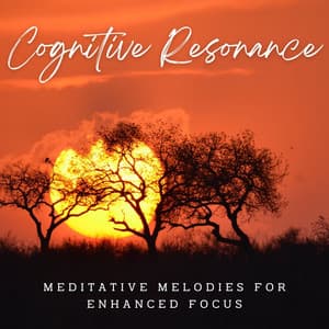 Cognitive Resonance: Meditative Melodies for Enhanced Focus - My Melody