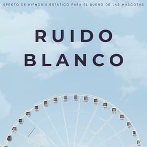 Ruido Blanco: Efecto De Hipnosis Estático Para El Sueño De Las Mascotas - El Ruido Blanco