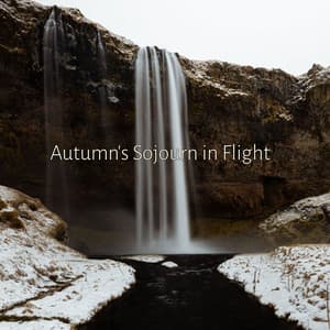 Autumn's Sojourn in Flight - Cosmic Thought