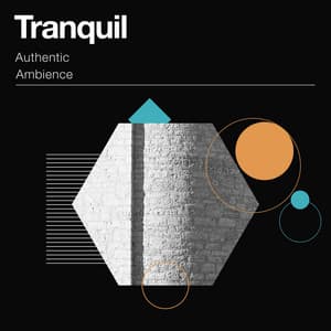 zZz Tranquil Authentic Ambience zZz - Solara Dawn