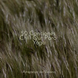50 Canciones Chill Out Para Yoga - Calm Music for Studying