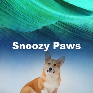 Snoozy Paws - Soothing Dog Music