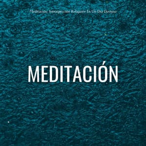 Meditación: Introspección Relajante En Un Día Lluvioso - Danny sonidos de lluvia