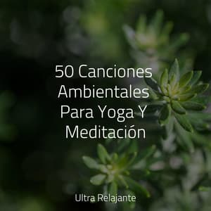 50 Canciones Ambientales Para Yoga Y Meditación - Dormir Sol