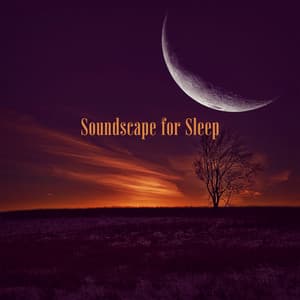 Soundscape for Sleep: Sleeping Pad - Sleepy Music Zone