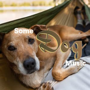 Some Dog Music - Some Dog Music
