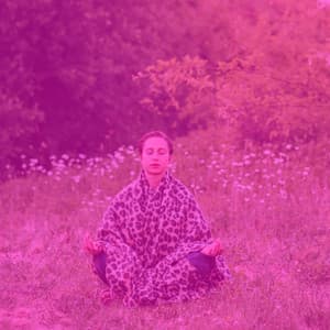 Casual - Nature Sounds At Home