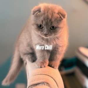 More Chill - Calming Jazz Lounge